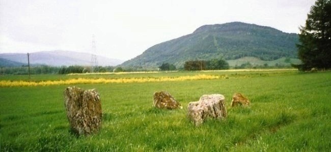 Click for full size image of Carse Farm I (PID:110443) Carse Farm I