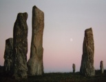 Callanish I - PID:993 Callanish I - PID:993