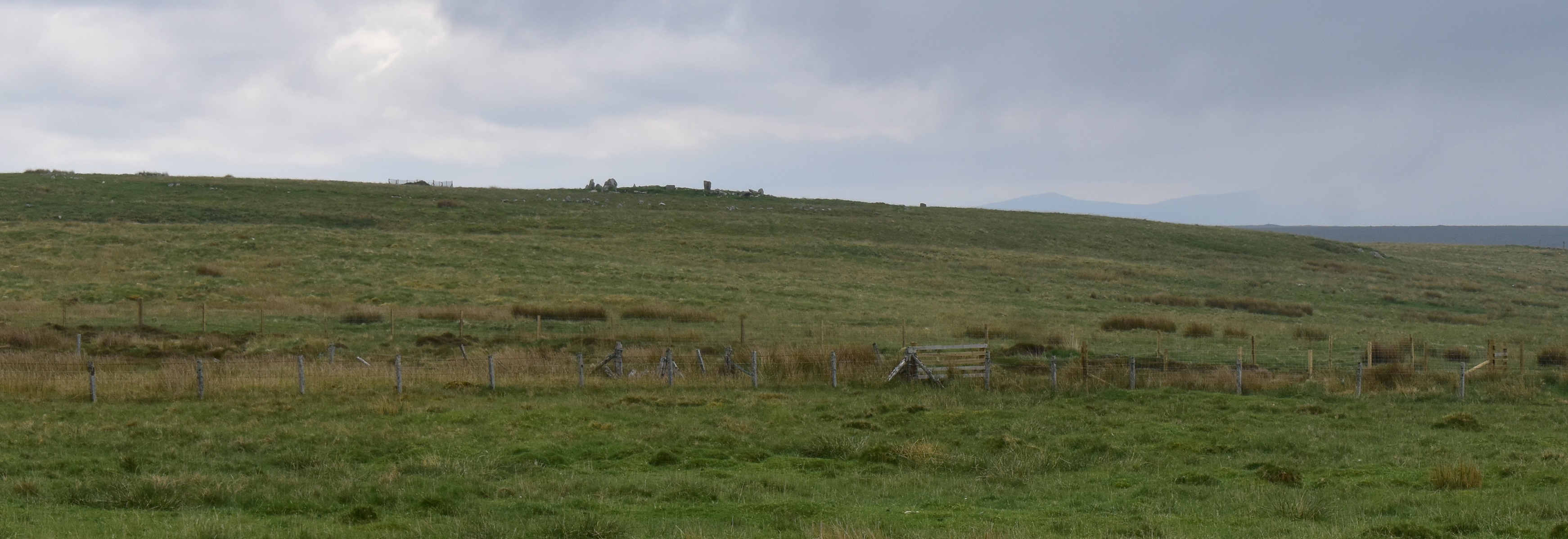 Click for full size image of Steinacleit (PID:274115) Steinacleit