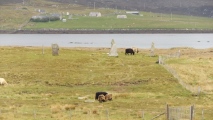 Callanish 2