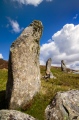 Callanish 8