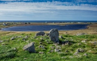 Click for full size image of Steinacleit (PID:185749) Steinacleit