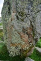 Click for full size image of Steinacleit (PID:274114) Steinacleit