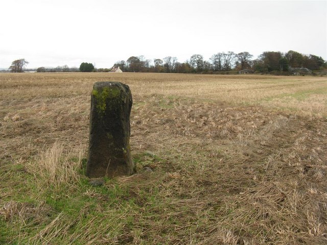 Click for full size image of Gogar Stone (PID:54994) Gogar Stone