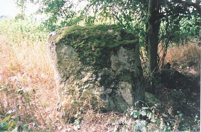 Click for full size image of Craigmakerran (PID:16145) Craigmakerran