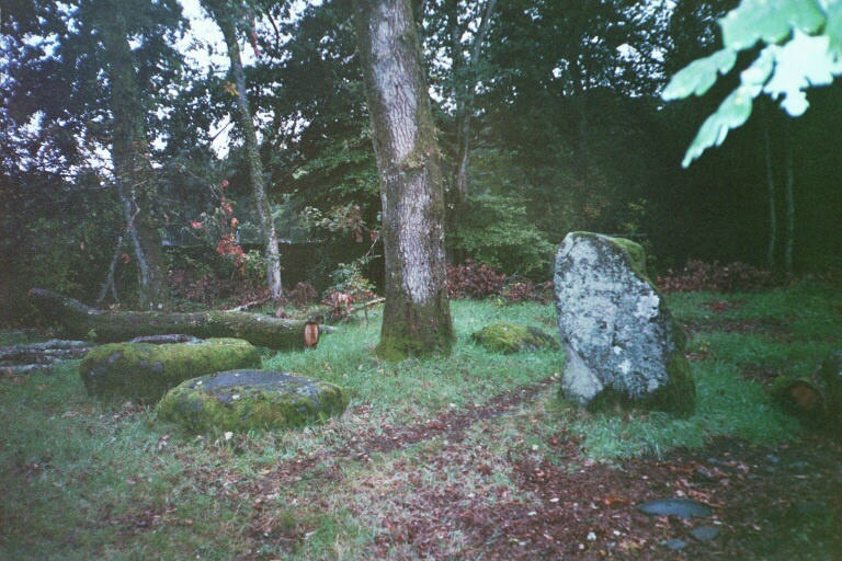 Click for full size image of Dalginross (PID:517) Dalginross