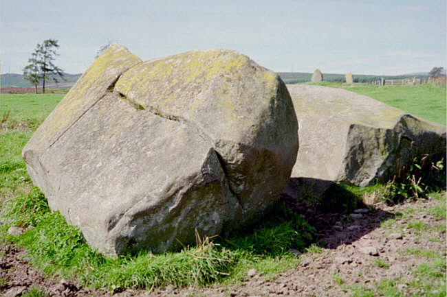 These large stones are just down the hill from the pair. The one at the back has cupmarks on it.