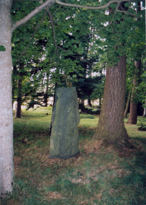 Click for full size image of Balnakeilly Stone Circle (002) (PID:7036) Balnakeilly Stone Circle (002)
