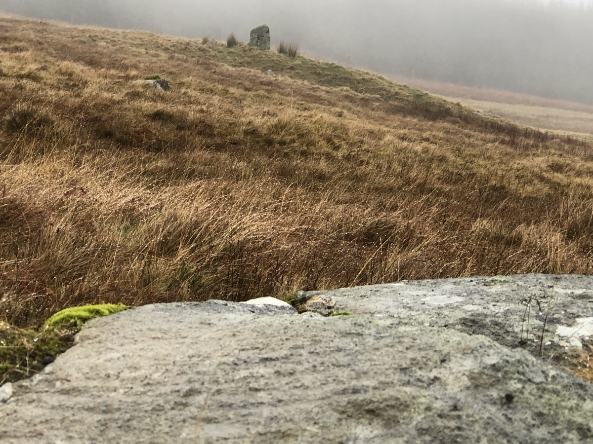 Click for full size image of Allt Coire Phadairlidh 1 (PID:236436) Allt Coire Phadairlidh 1