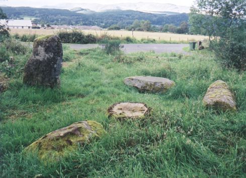 Click for full size image of Dalginross (PID:2136) Dalginross