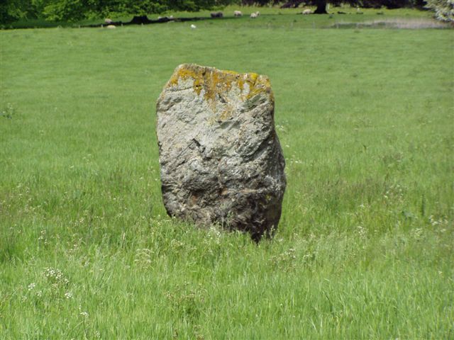 Click for full size image of Dane's Stone (PID:7496) Dane's Stone