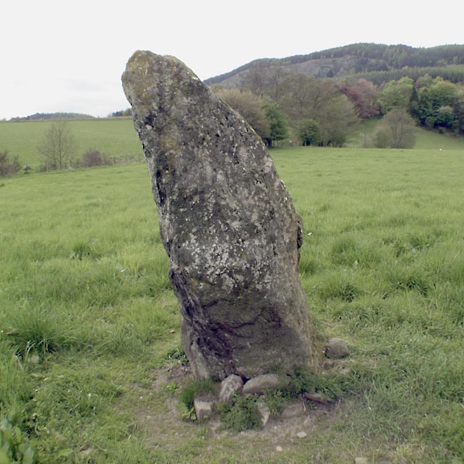 Dane's Stone (PID:12433) Dane's Stone