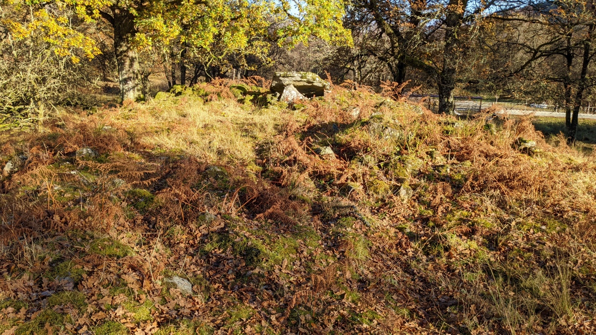 Click for full size image of Edinchip (PID:234800) Edinchip