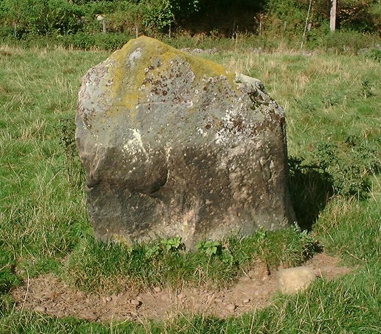 The Dunkeld Park stone