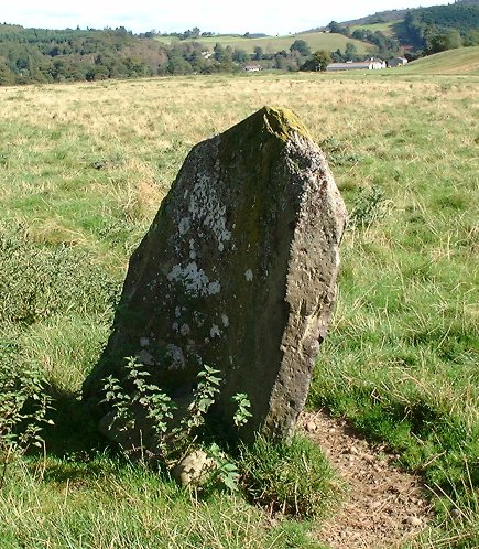 The Dunkeld Park Stone