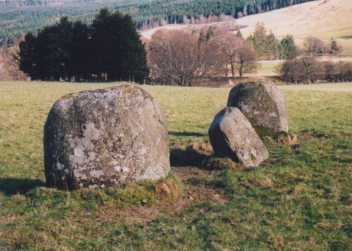 Click for full size image of Fortingall S (PID:3004) Fortingall S