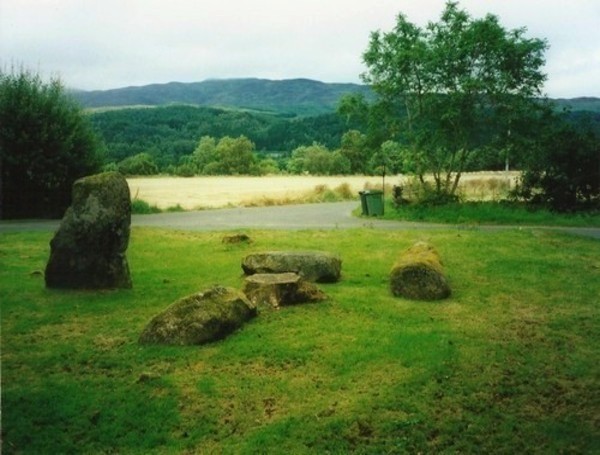 Click for full size image of Dalginross (PID:127101) Dalginross