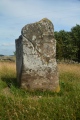 Click for full size image of Gray Stone (Dunning) (PID:184152) Gray Stone (Dunning)