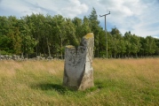 Click for full size image of Gray Stone (Dunning) (PID:184153) Gray Stone (Dunning)