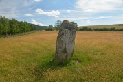 Click for full size image of Gray Stone (Dunning) (PID:184154) Gray Stone (Dunning)