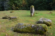 Click for full size image of Dalginross (PID:172338) Dalginross