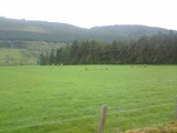 Click for full size image of Fortingall S (PID:234269) Fortingall S