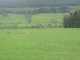 Click for full size image of Fortingall SW (PID:234270) Fortingall SW