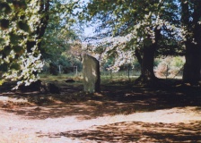 Clava 010 - PID:7120