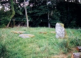 Click for full size image of Dalginross (PID:2144) Dalginross