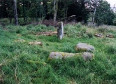 Click for full size image of Dalginross (PID:2147) Dalginross
