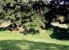 Kilmorich Barrow Cairn 004 - PID:7190