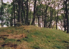 Muirheadstone 004 - PID:7221