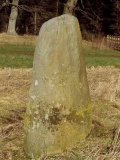 Gleneagles A - PID:12239