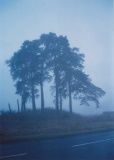 Pitnacree 001 - PID:7252