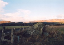 Roman Stone 005 - PID:7266