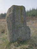 Slimestone - PID:17675