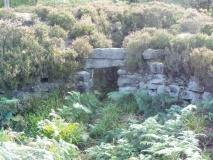 Torwood Broch - PID:16759
