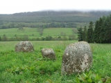 Click for full size image of Fortingall S (PID:102687) Fortingall S