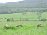 Click for full size image of Fortingall SW (PID:102685) Fortingall SW