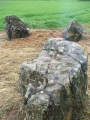 Click for full size image of Carse Farm I (PID:102681) Carse Farm I