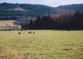 Click for full size image of Fortingall SW NE & S (PID:2999) Fortingall SW NE & S