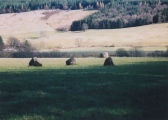 Click for full size image of Fortingall SW (PID:3006) Fortingall SW