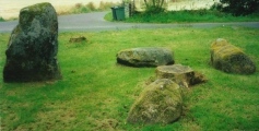 Click for full size image of Dalginross (PID:127102) Dalginross