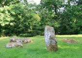 Click for full size image of Dalginross (PID:111215) Dalginross