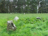 Click for full size image of Fortingall SW (PID:102689) Fortingall SW