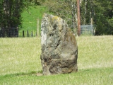 Click for full size image of Dane's Stone (PID:285268) Dane's Stone