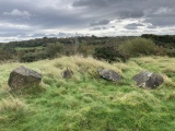 Croy Hill Fort - PID:265284