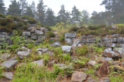 Torwood Broch