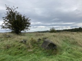 Croy Hill Fort - PID:265285