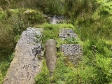St Mirren's Well - PID:265133